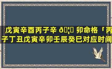 戊寅辛酉丙子辛 🦆 卯命格「丙子丁丑戊寅辛卯壬辰癸巳对应时间」